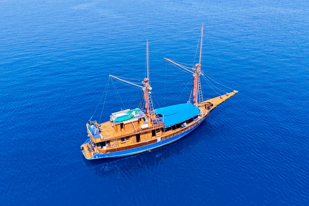 Tiger Blue, photo 5
