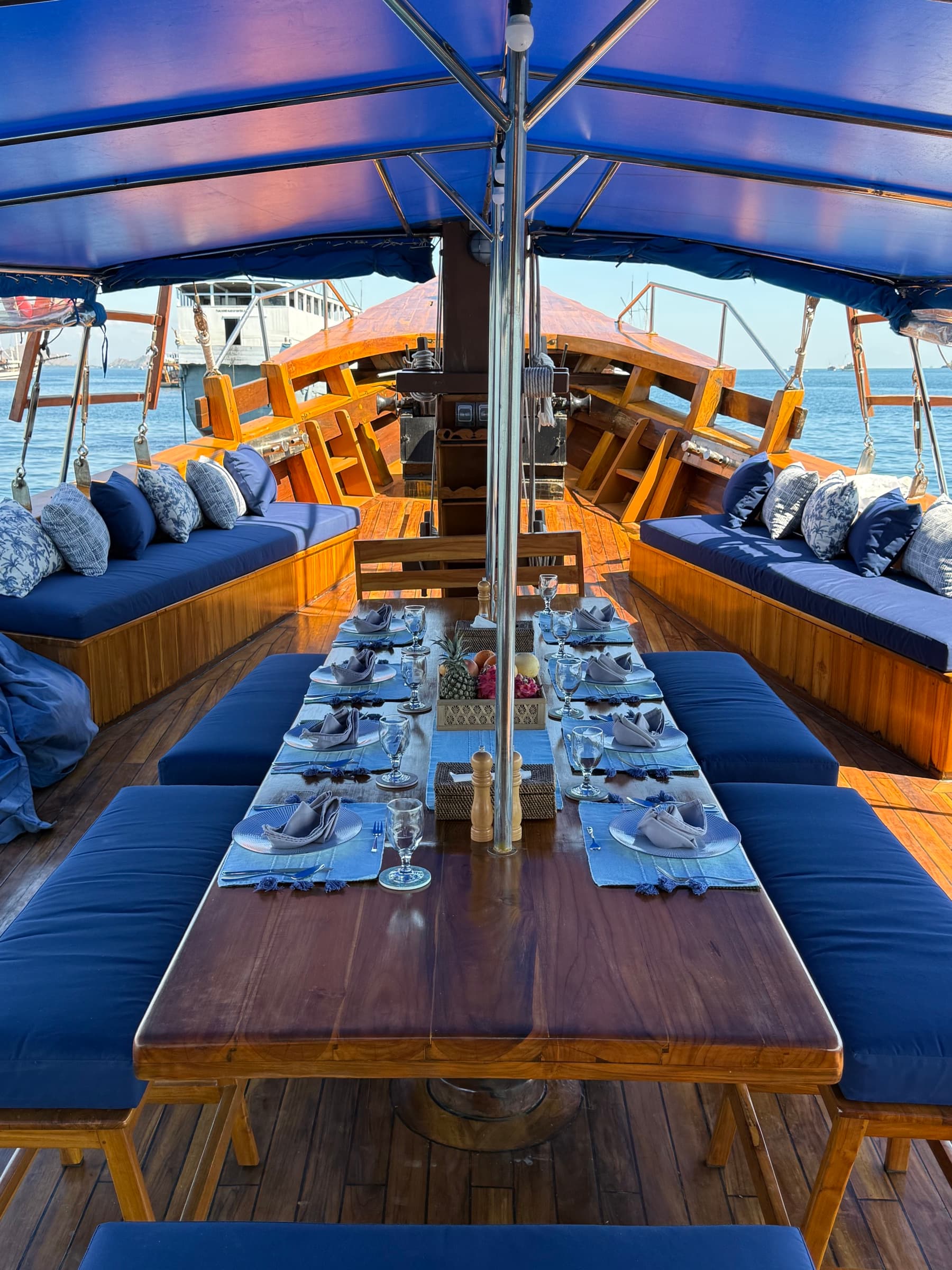 Tiger Blue, photo 6
