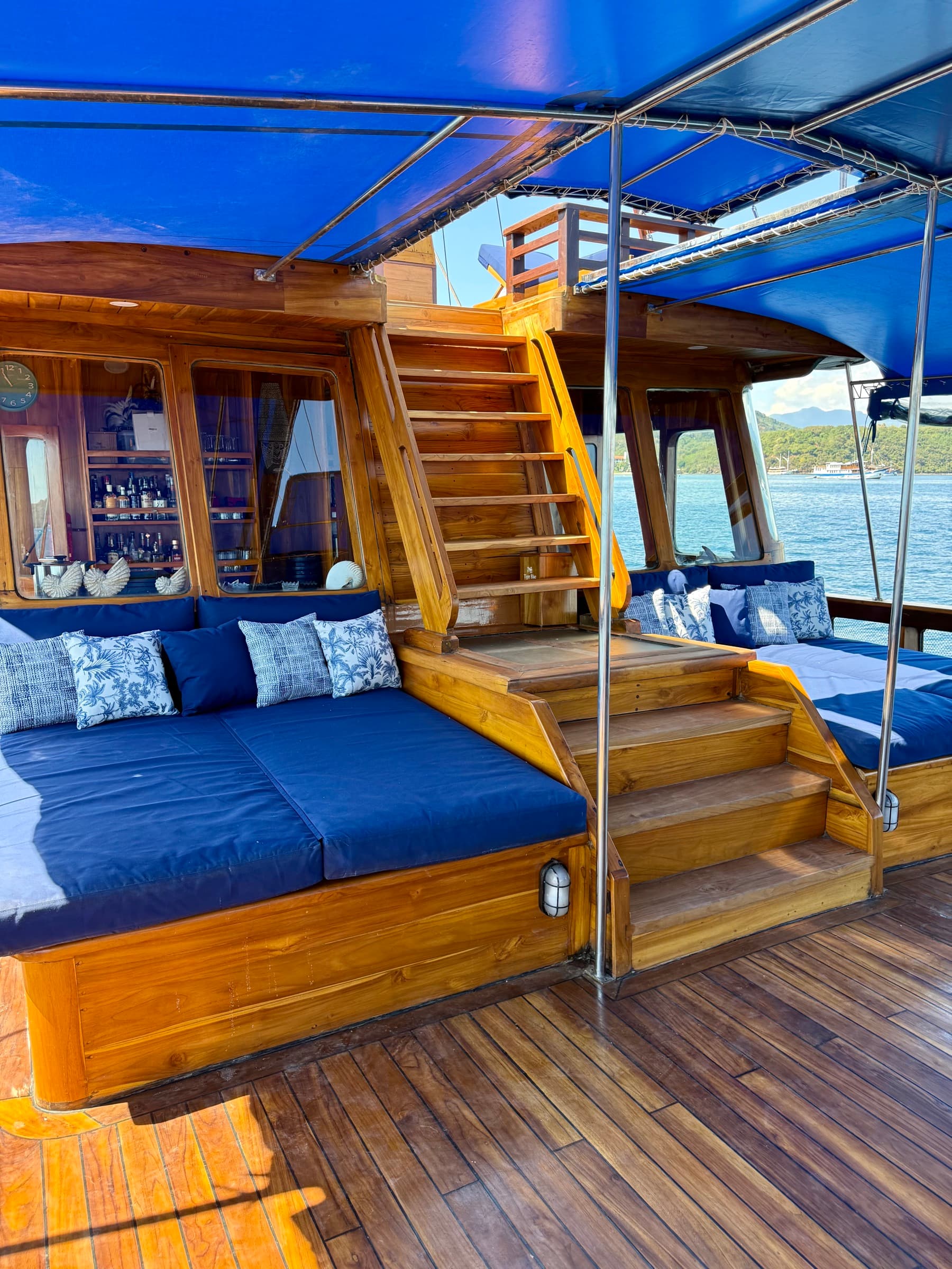 Tiger Blue, photo 13