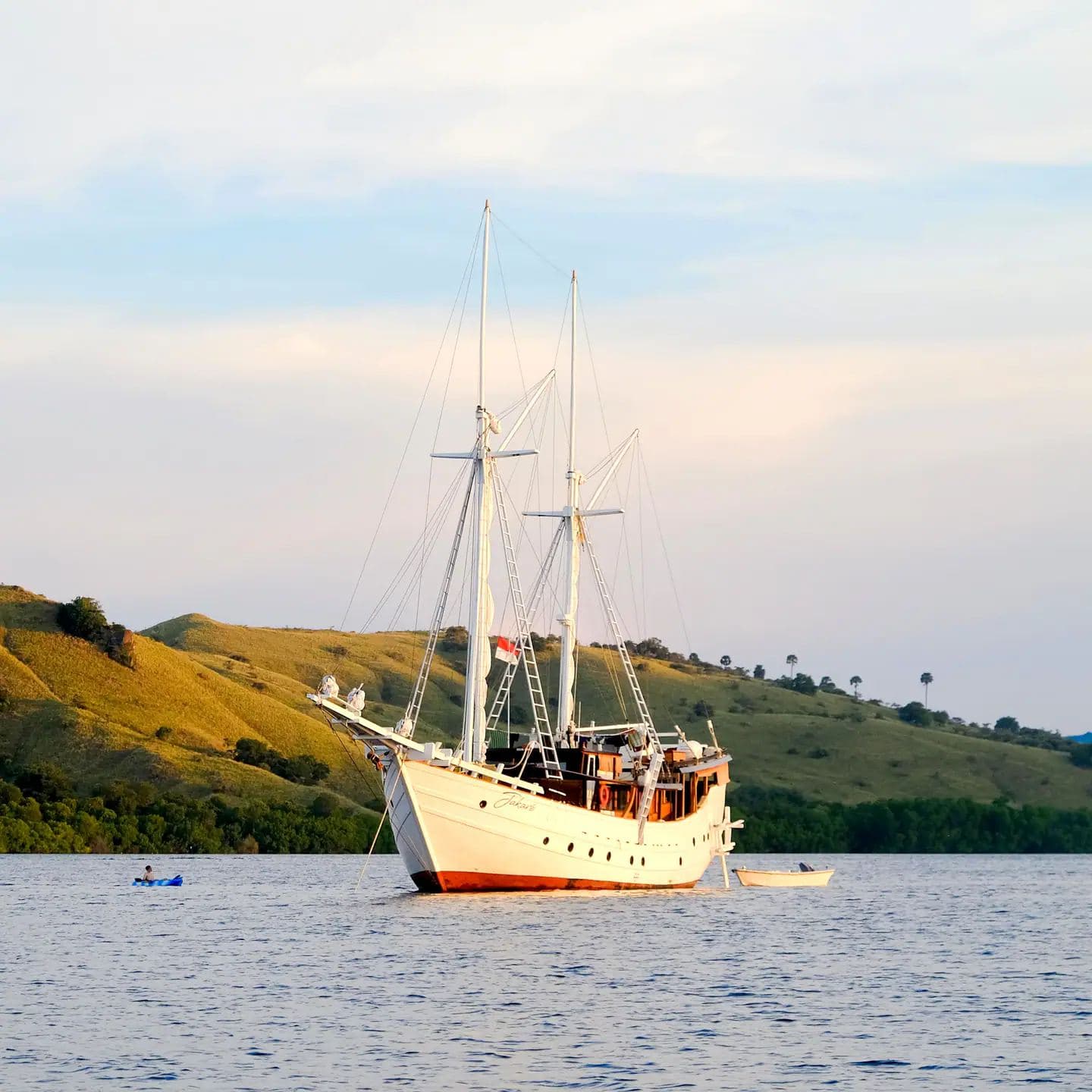 Jakare, photo 7