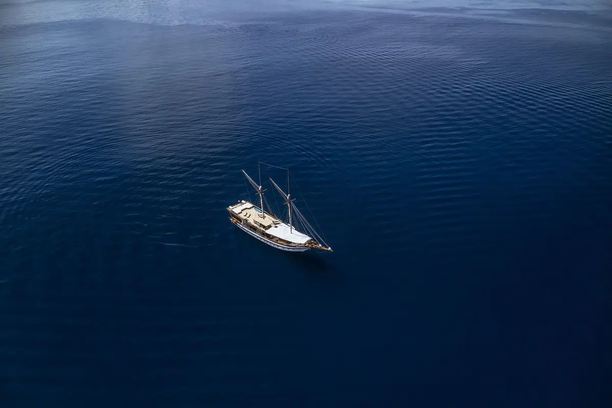 Majik, photo 13