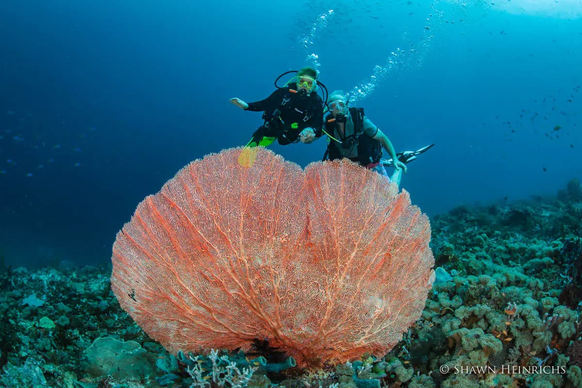 Si Datu Bua, photo 13