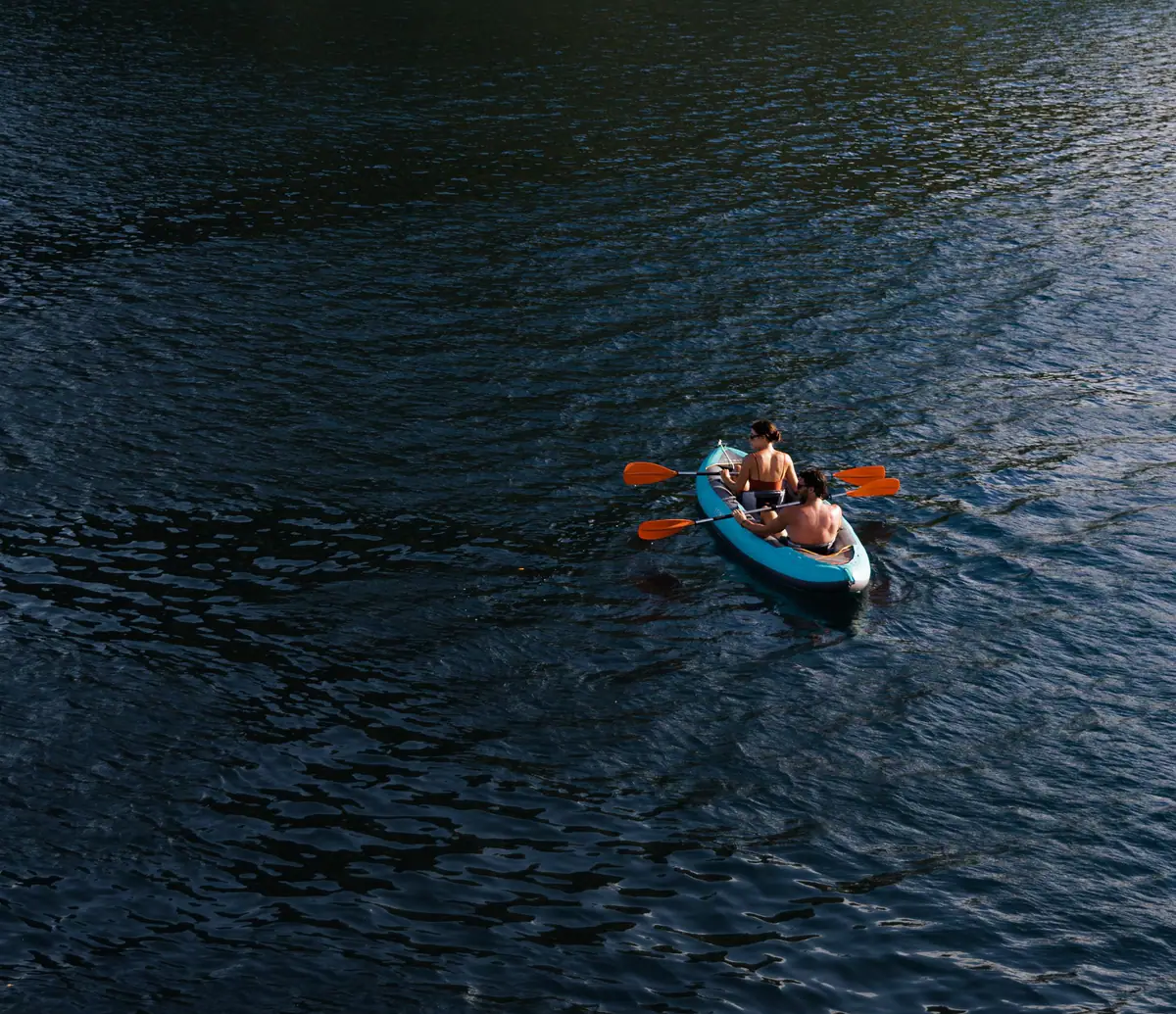 Vela, photo 12